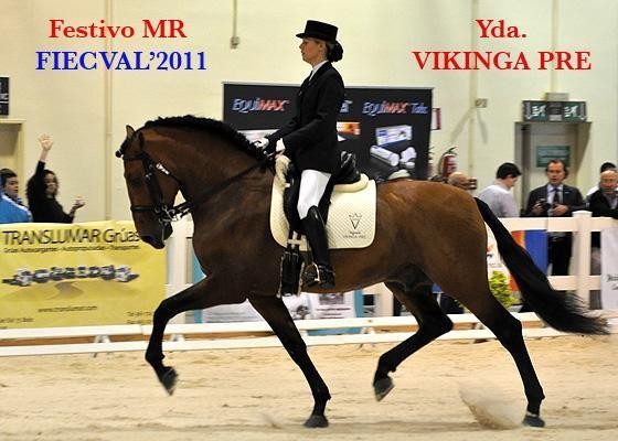 Bronze to Festivo in European Championship 2011 - Vikinga Sales & Breeding