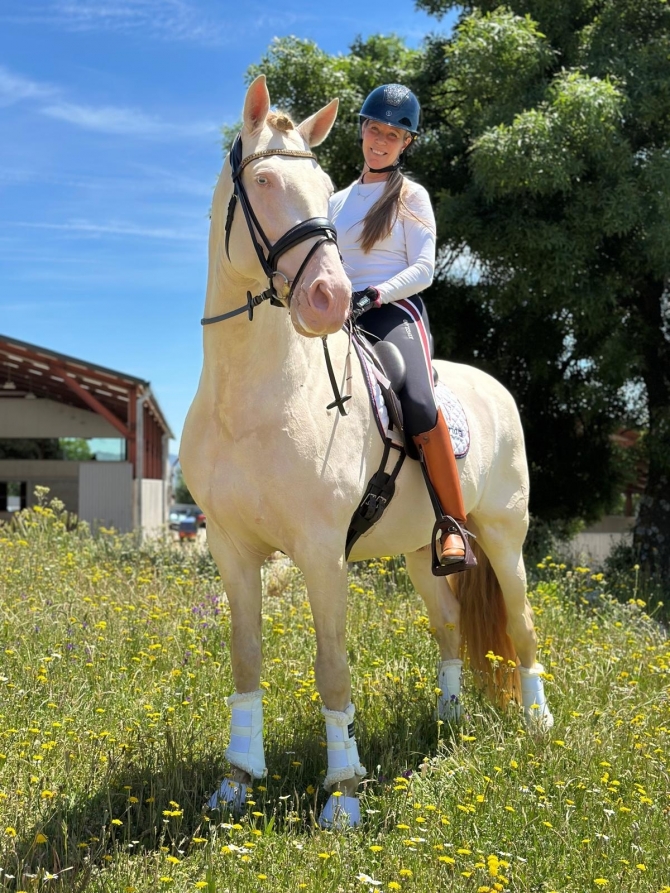 For the love of horses and passion for PRE! - Vikinga Sales & Breeding